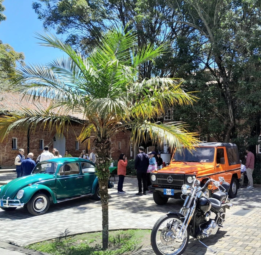 Antiguos y Clasicos (15)