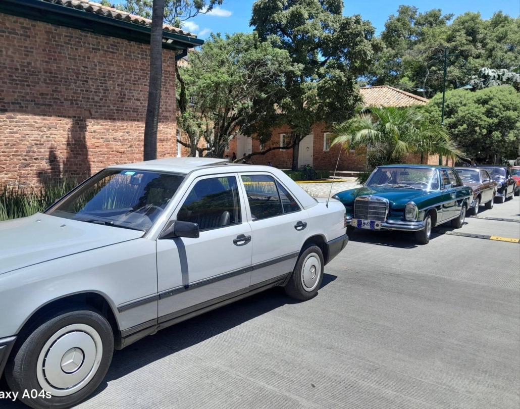 Antiguos y Clasicos (16)