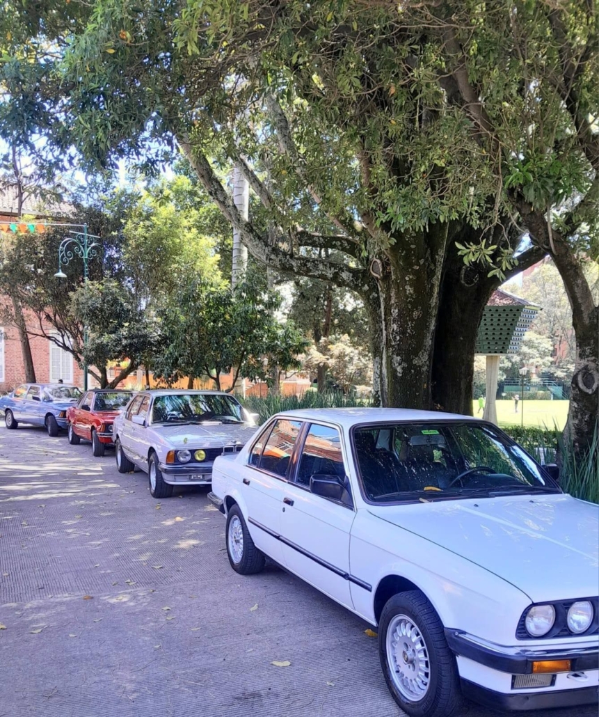 Antiguos y Clasicos (21)